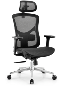 1606シリーズ人体工学椅 特許製品 輸入高弾性ネットクロス 2d腰枕 135度リクライニング ドイツtuv4級ガススプリング