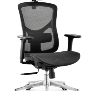 1606シリーズ人体工学椅 特許製品 輸入高弾性ネットクロス 2d腰枕 135度リクライニング ドイツtuv4級ガススプリング