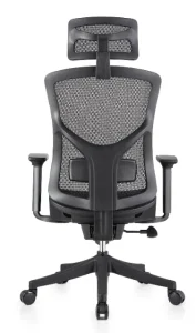 1606シリーズ人体工学椅 特許製品 輸入高弾性ネットクロス 2d腰枕 135度リクライニング ドイツtuv4級ガススプリング