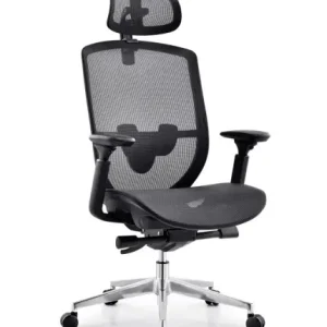 1601シリーズ人体工学椅 特許製品 カスタマイズ可 3dヘッドレスト 双杆多段ロックシャーシ ドイツtuv4級ガススプリング