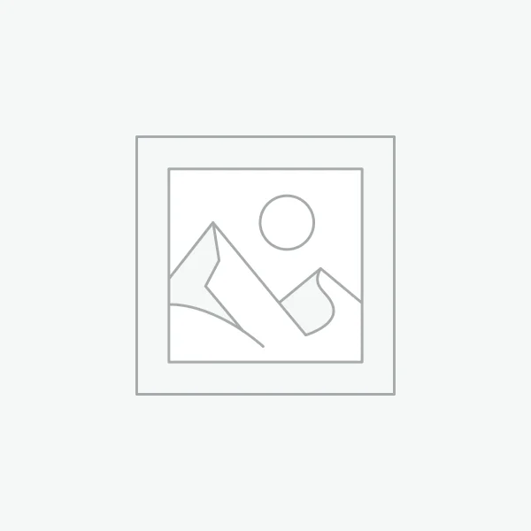 ローランシリーズ管理職専用執務机 豊林E0級パーティクルボード ドイツシャッター化粧紙 宝鋼スチールフレーム 冠輝五金 ラミエロ接続付属キャビネット Awaiting product image